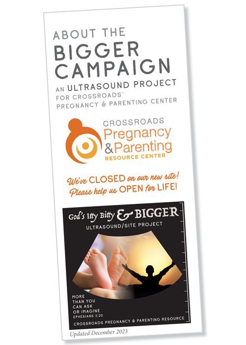 About the Bigger Campaign Brochure